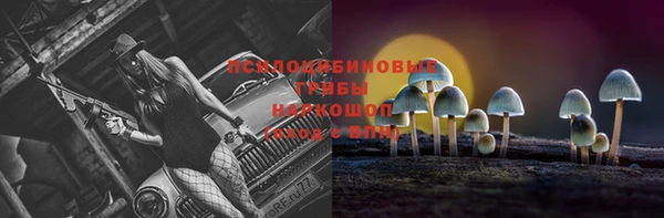 индика Арсеньев