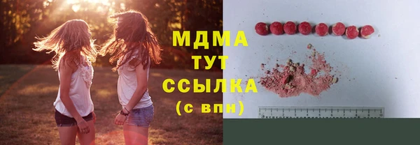 индика Алзамай
