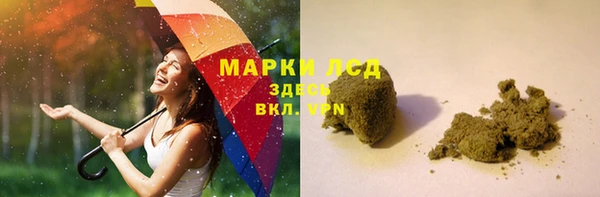 индика Арсеньев