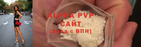 индика Арсеньев