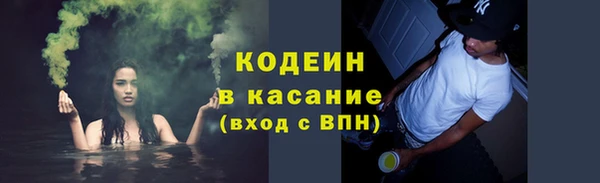 индика Арсеньев