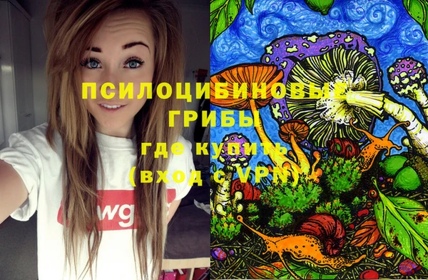 индика Арсеньев