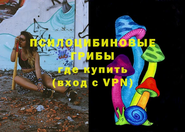 индика Арсеньев