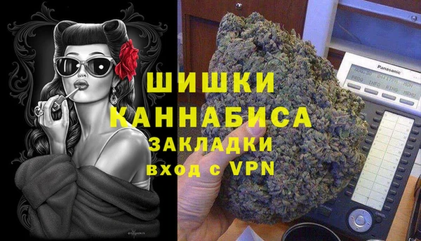 индика Арсеньев