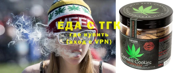 индика Арсеньев