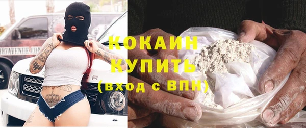 индика Арсеньев