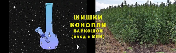 круглые Аркадак